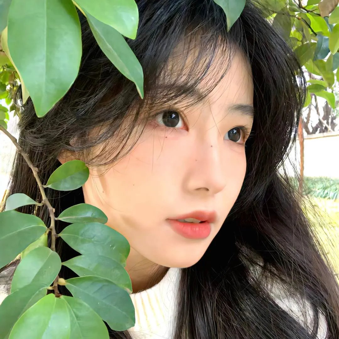 卢米埃：光与影的故事